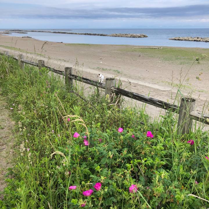 Dc0efc92 41a0 4faa aca9 3fafdeaeb592 1590533787776