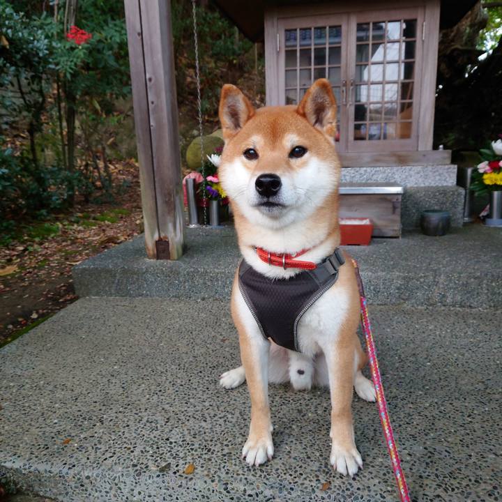 Dc0efdc8 0615 45ae aa6d 77fe3079c892 1765962047224