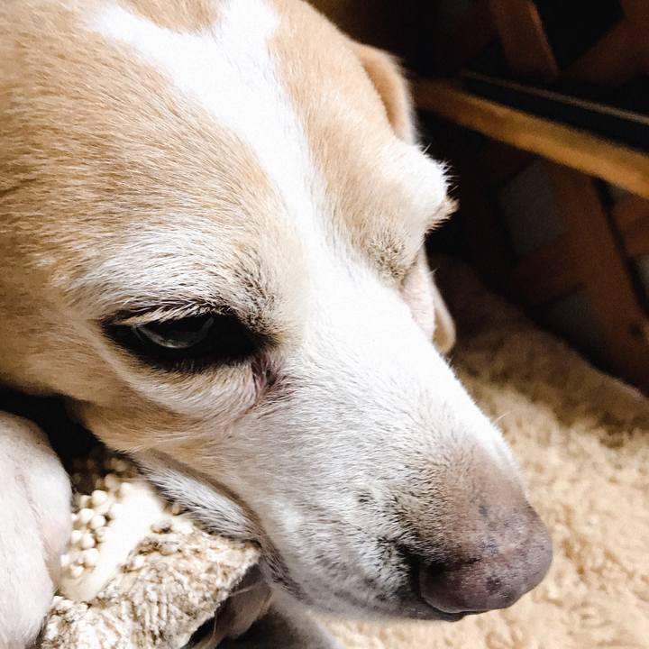 Dc0f25bc 2692 4f77 b097 84179a86545c 1558022314879