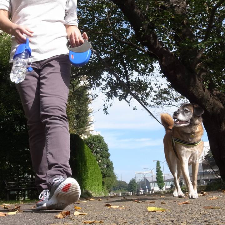 Dc0f4404 6aa2 4746 b5ff 1539884bb298 1591189780086