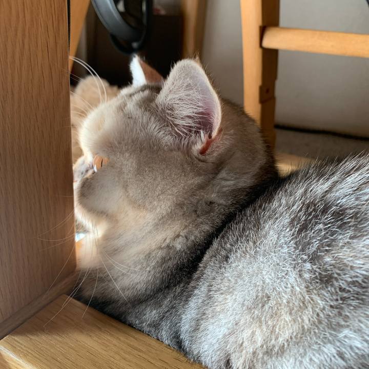 Dc0f54a8 f0e4 4883 bea4 d35e40df2488 1708729260402