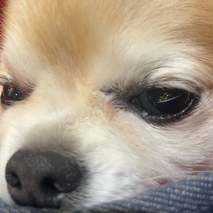 Dc0f59f6 bbe9 4924 b6c8 26055a54d4cb 1765022380605