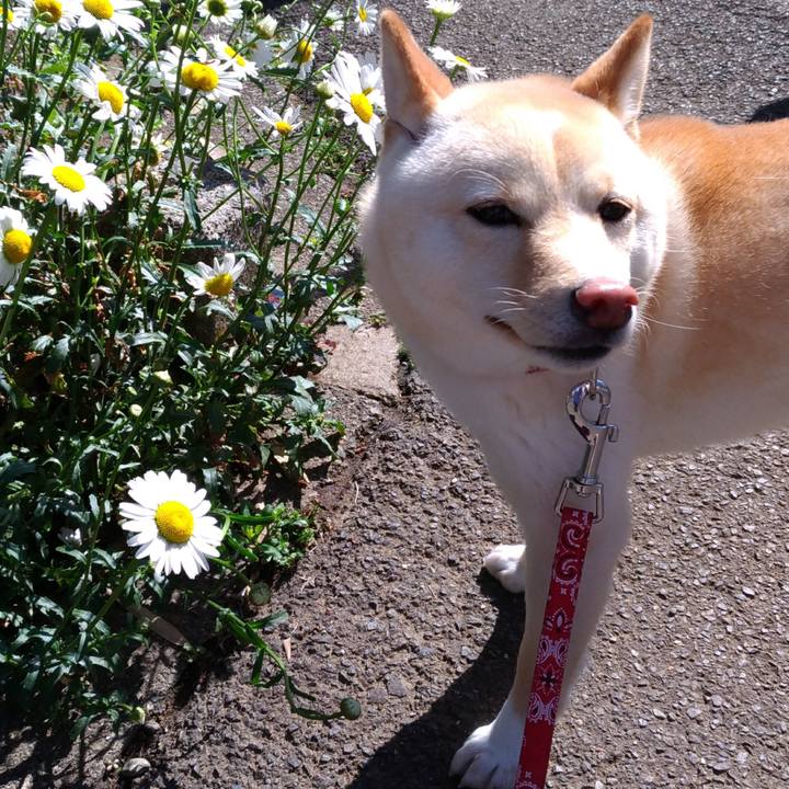 Dc0f7661 a5fb 45f9 91ec a58daf2cfb84 1524703528960