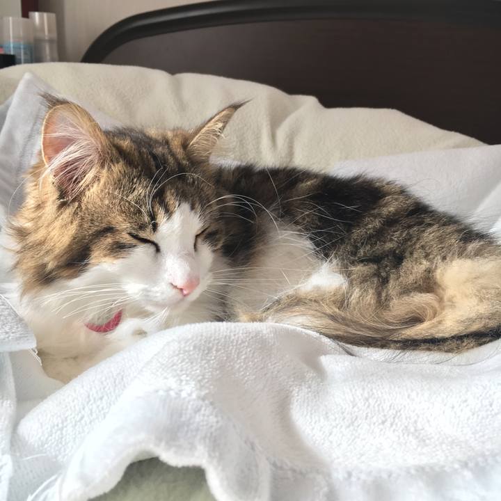 Dc0fa427 7f25 4d29 9899 3215869e261c 1509070801457