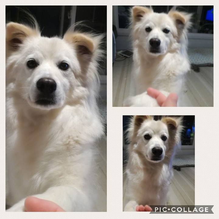 Dc0fba15 fb48 4827 885d 93fbd0b777aa 1525775736734