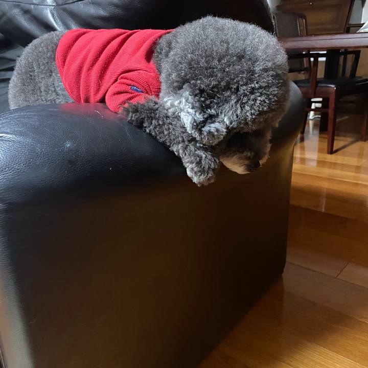 Dc0fcdd7 5904 4672 a76e 256e593f2e41 1634721669187