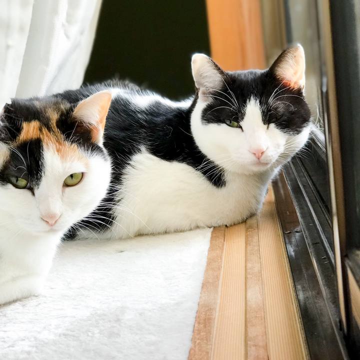 Dc0ff766 f4da 4fde 9df8 44fae7a04075 1520991080814