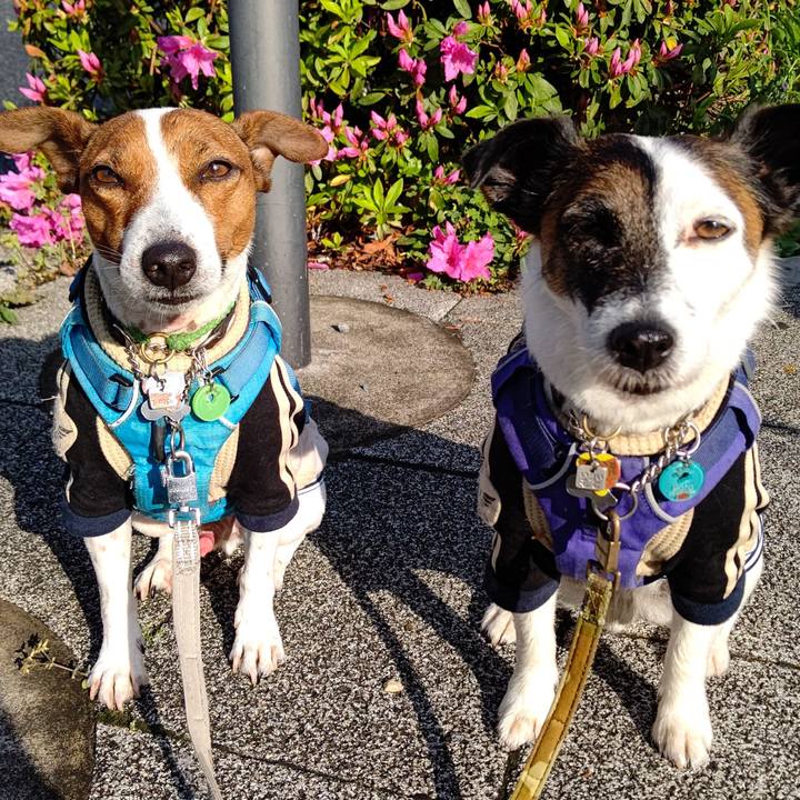 Dc10194a 5d0b 4c22 a827 eb464bb27ec7 1650320948429