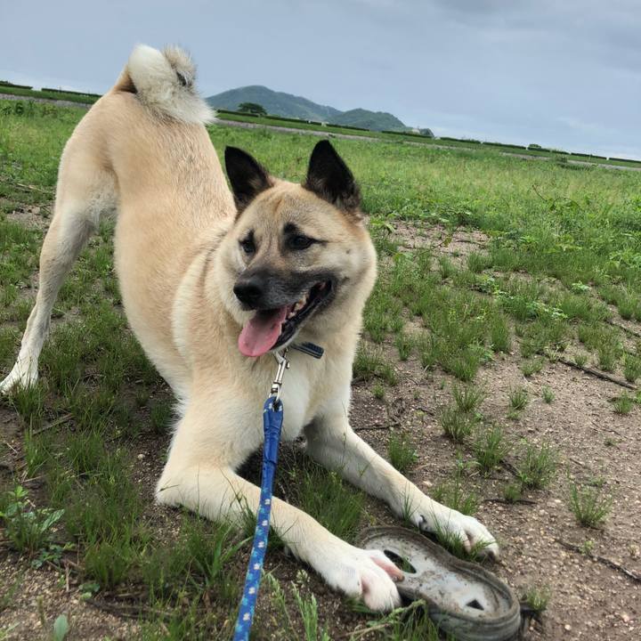 Dc102400 fda0 412c 805f b6fbd2acb3eb 1592124704996