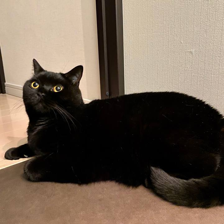 Dc102416 bb83 4450 bb50 db2768088d94 1601385971146