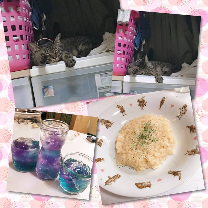 Dc10604d 5dac 4281 ad3e b583a55b36a1 1566659703275