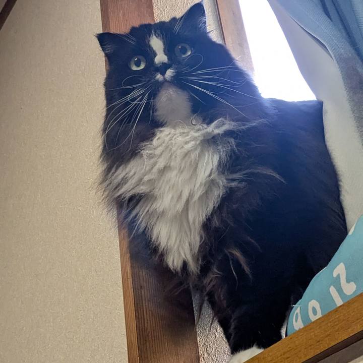 Dc10fef0 8206 4df9 b924 d0b42a1d2cba 1758582008068