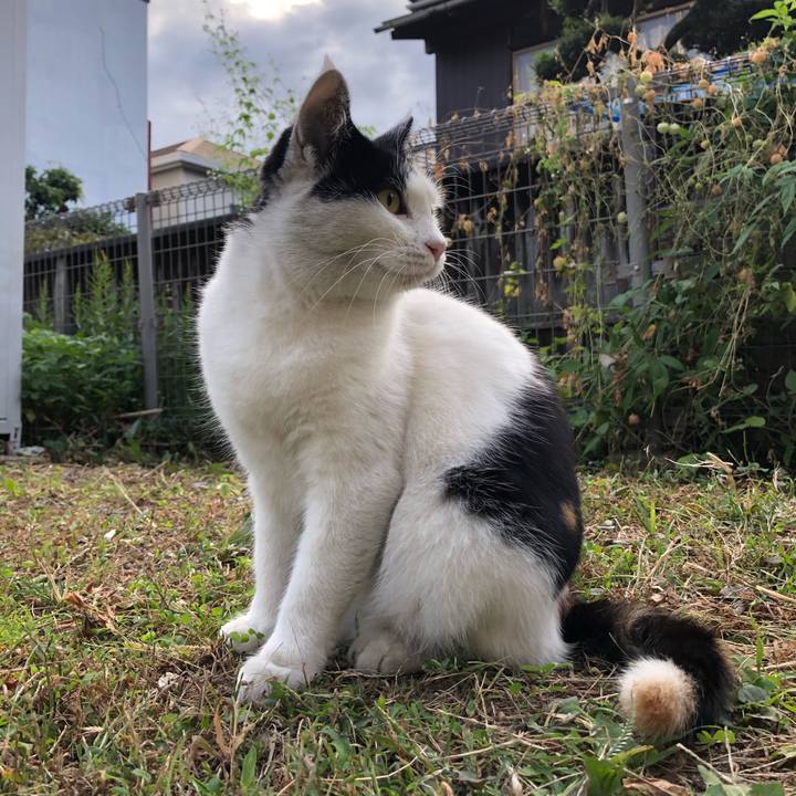 Dc113af3 e3ff 4069 93fc eb8be019b7a1 1602799778960