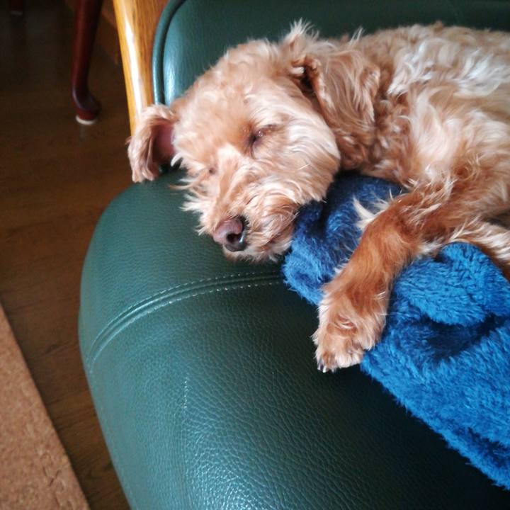 Dc115b05 c537 4a84 8919 0b715cbd77e2 1553729511575