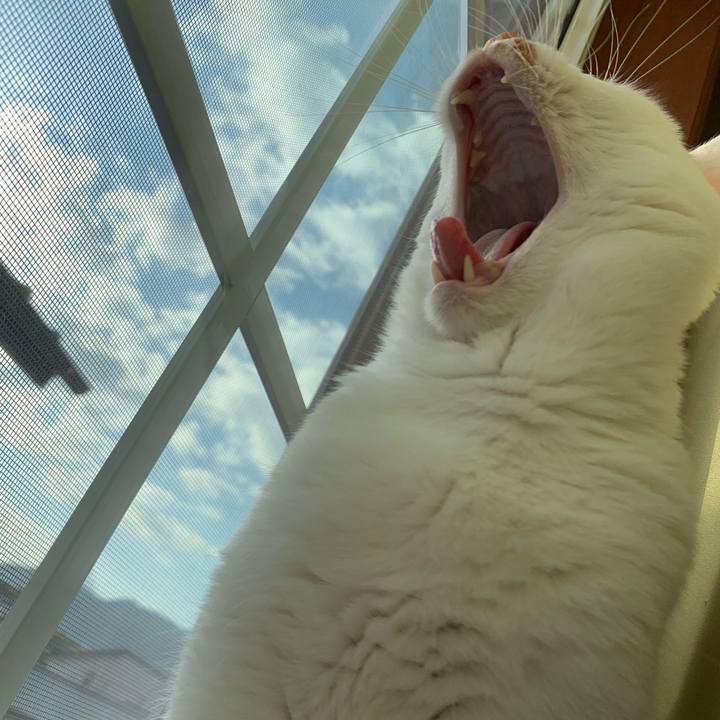 Dc11679c 6c1a 4037 98e2 3299cc6e4cb8 1586040863262