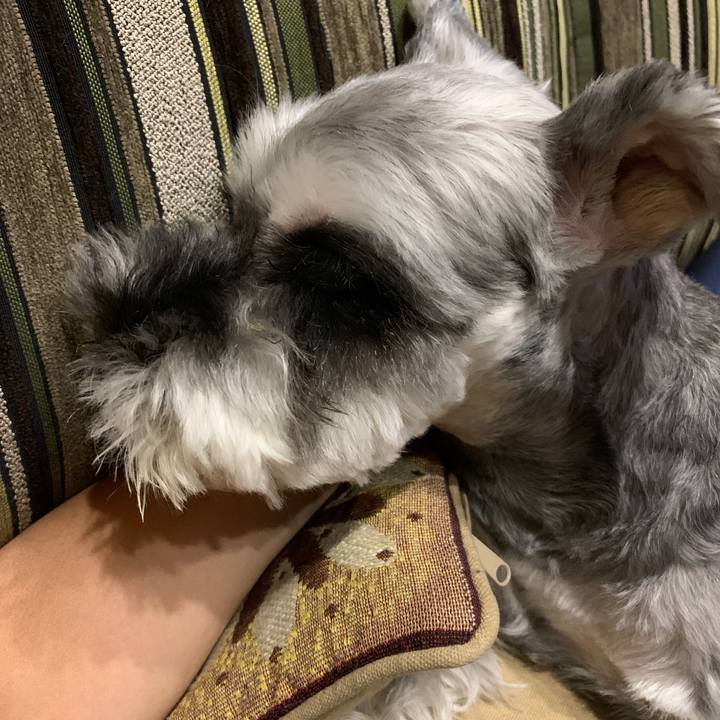 Dc118bed fbf3 43ce a508 33634099aae8 1598096000091