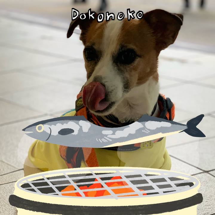 Dc11b75a e31b 4ab5 a86c d35e2f411da8 1761139253623