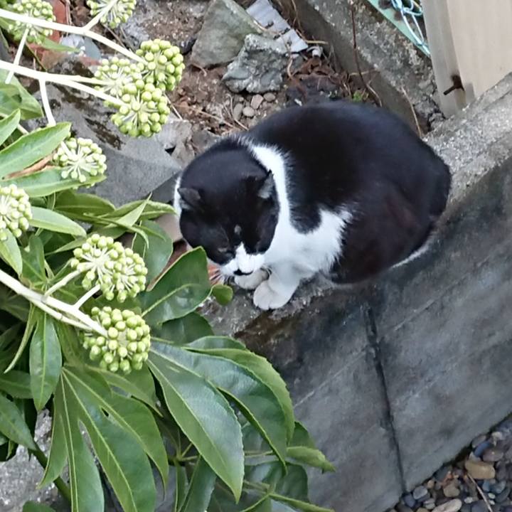 Dc11f8d4 0581 4f17 852b cb151e093bbf 1646033834039