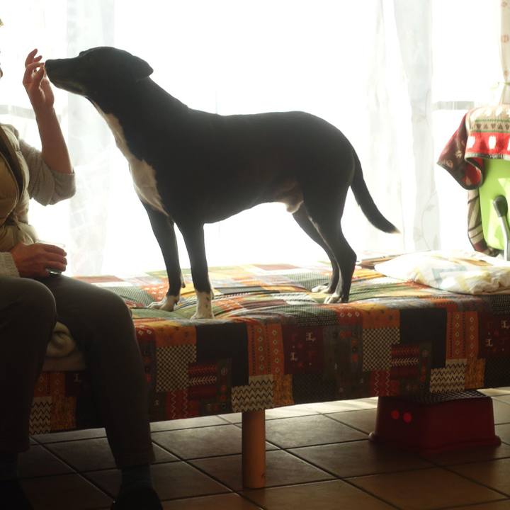 Dc12101a e0ce 4ded b0c3 f1c1ababf82f 1704847449891