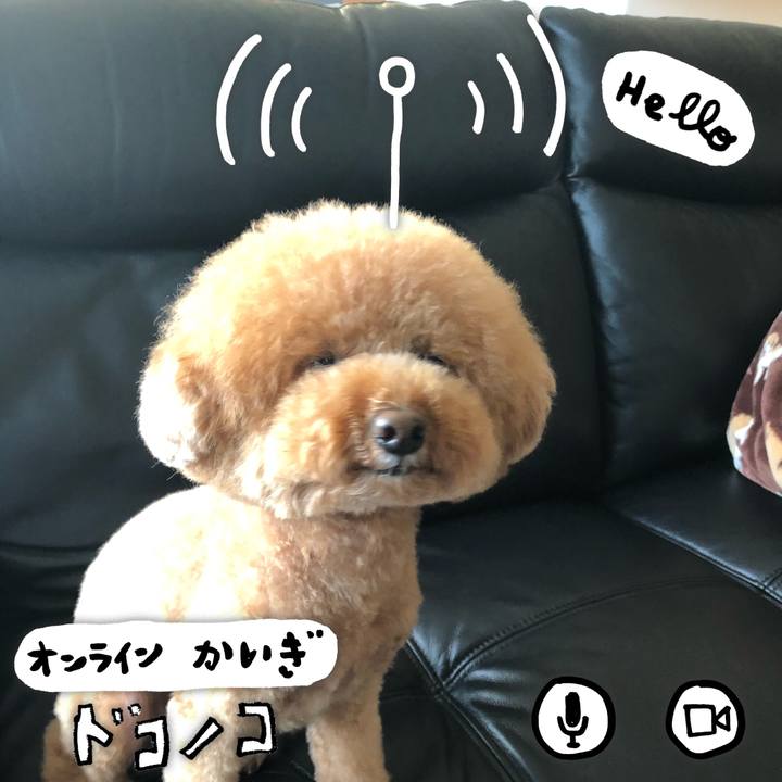 Dc122036 d100 4eb3 8ddc ff83368a6d5f 1591598472444