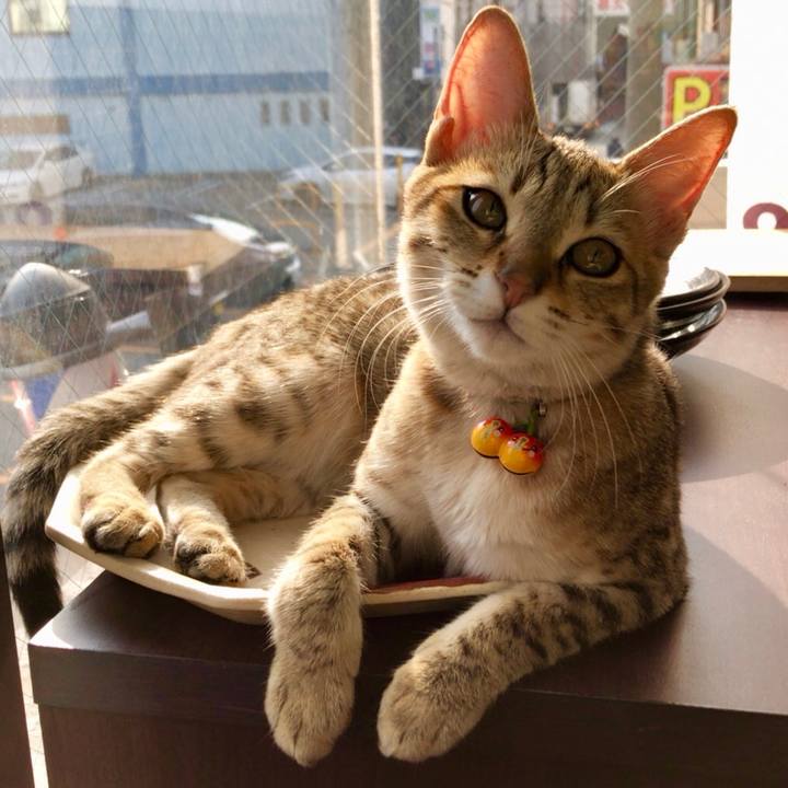 Dc124b3f 90e4 44a3 a72b 5fc820a1d671 1580876380191