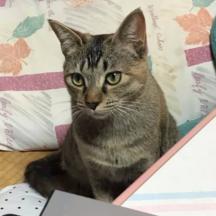 Dc124f65 9f1a 44b4 b57d 764a9210a977 1578742480307