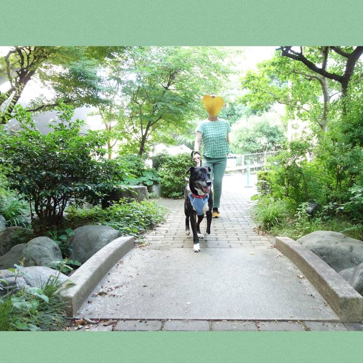 Dc127c4d ab16 46d3 a4e1 f86f1d62c1c1 1750290153146