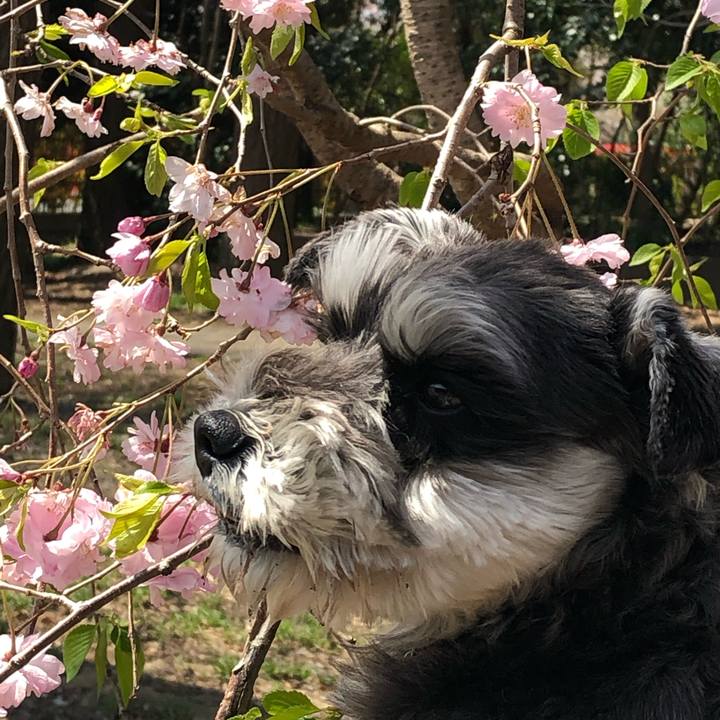 Dc12ac69 5671 4c50 b2a2 cd10bf715ff5 1585973601572