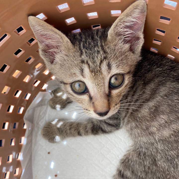 Dc12cd35 1654 409d 89f2 3ab0eaab9b6a 1600054823904