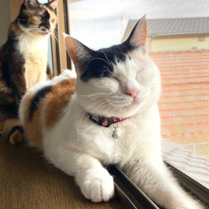 Dc12d095 45f8 4353 905d 89dc826fabaf 1693348352293