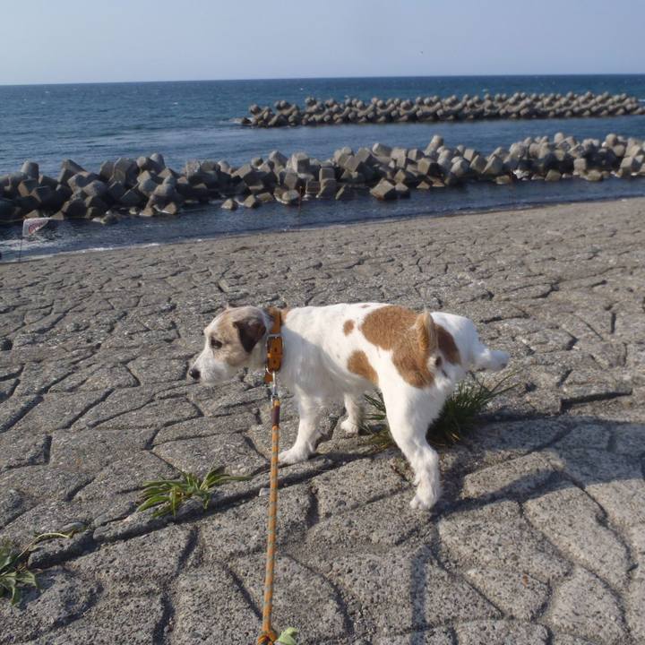 Dc12dc76 9081 4b8f 9b44 f32be4566892 1557659126983