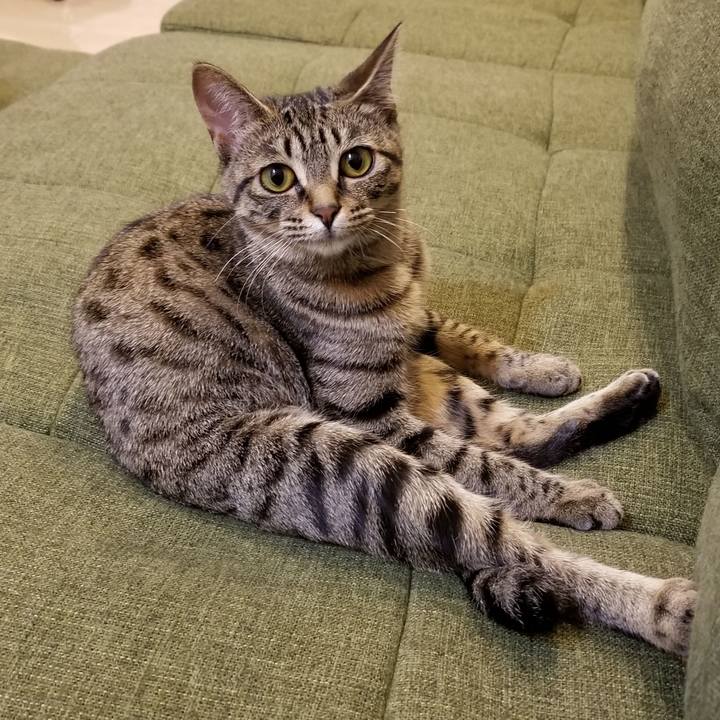 Dc12e63c 126d 4ceb a9d3 a862d2664e2e 1553245910180