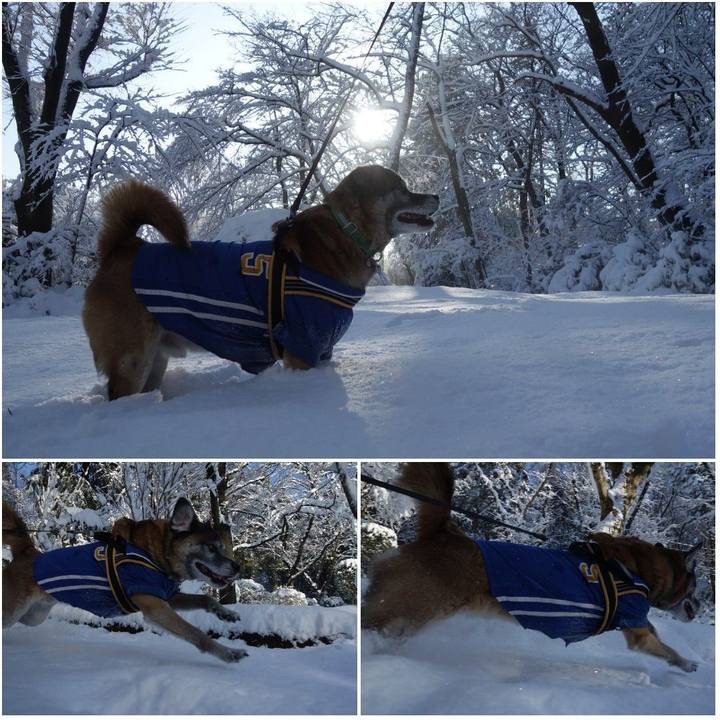 Dc12f8aa ac60 42b6 a796 22cb0fef3702 1628210311685