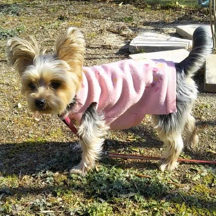 Dc136227 20d6 4166 9c62 12c30acdaef8 1612432150956