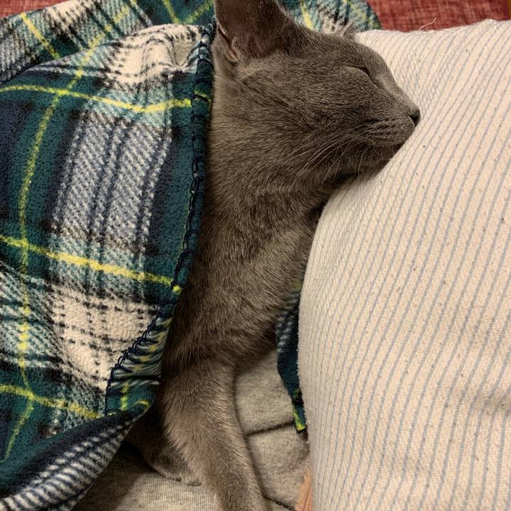 Dc13c444 9572 47ca 9384 d804e4a56200 1580417930631