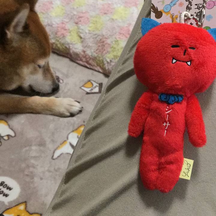 Dc13d07e 57b9 4175 b581 74ede2f697f0 1603358522016