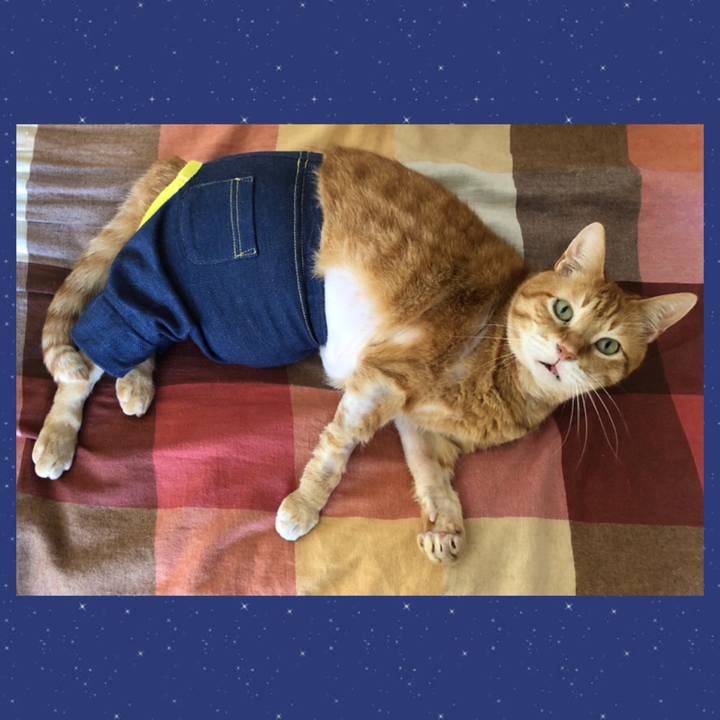 Dc140658 bc2f 4556 bc2e d3c98c2efaf1 1719705533621