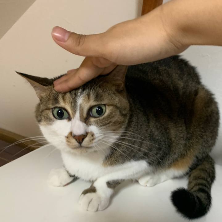 Dc141040 3449 4a3c 8a71 497bb98729df 1649853362370