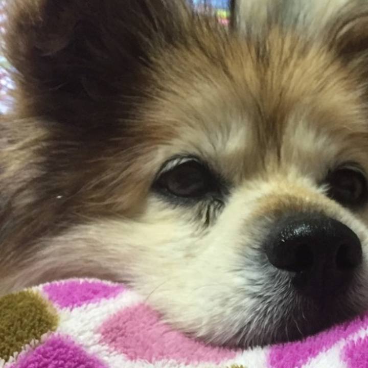 Dc141d0a 2ce9 4fce bfb0 fc236ef1f1a4 1636337826604