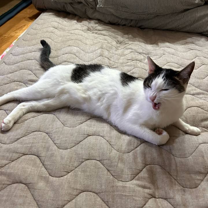 Dc141e35 44f0 48dd a903 f446ac7ed72b 1716815622266