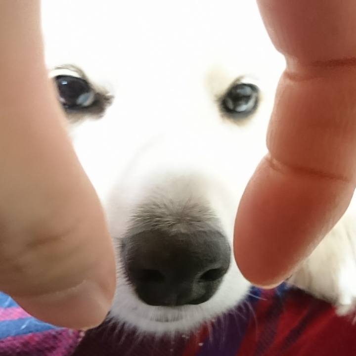 Dc144f2a d297 4d2e 878f d0180128e5bb 1513938042991