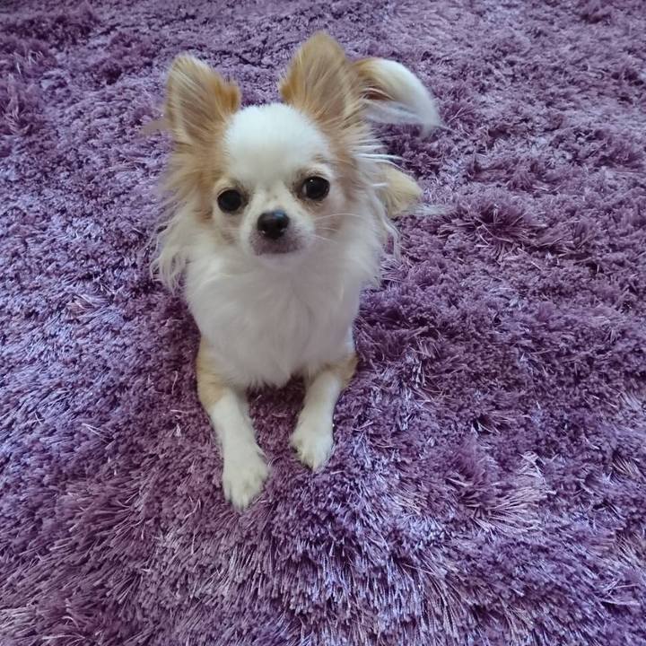 Dc145015 81dd 4627 b6de faa817bb4bed 1541067417106