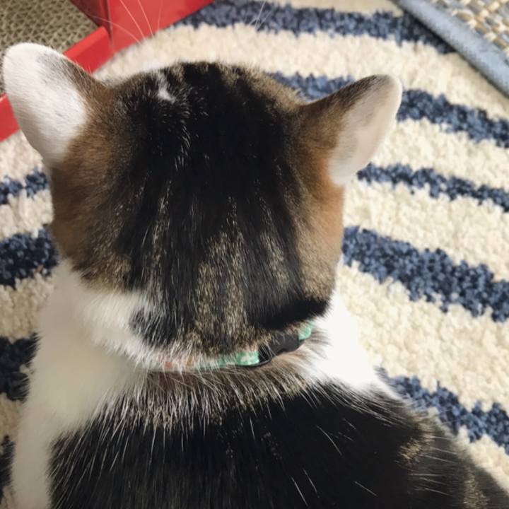 Dc147b89 3dd7 451e 94da fb2397fac84c 1553135902655