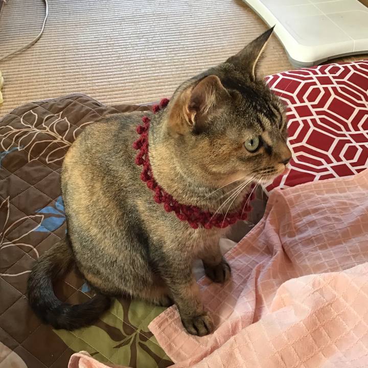 Dc148c84 a29a 41b8 8498 cd42994880fe 1615677483097