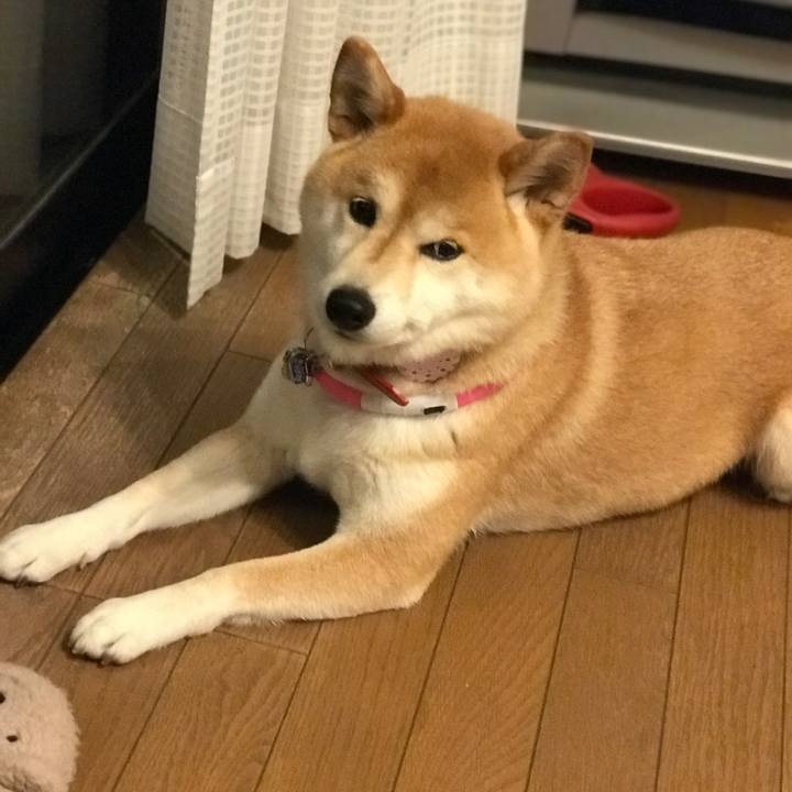 Dc14b640 e462 48f9 8fb5 39f65783faa6 1557150294571