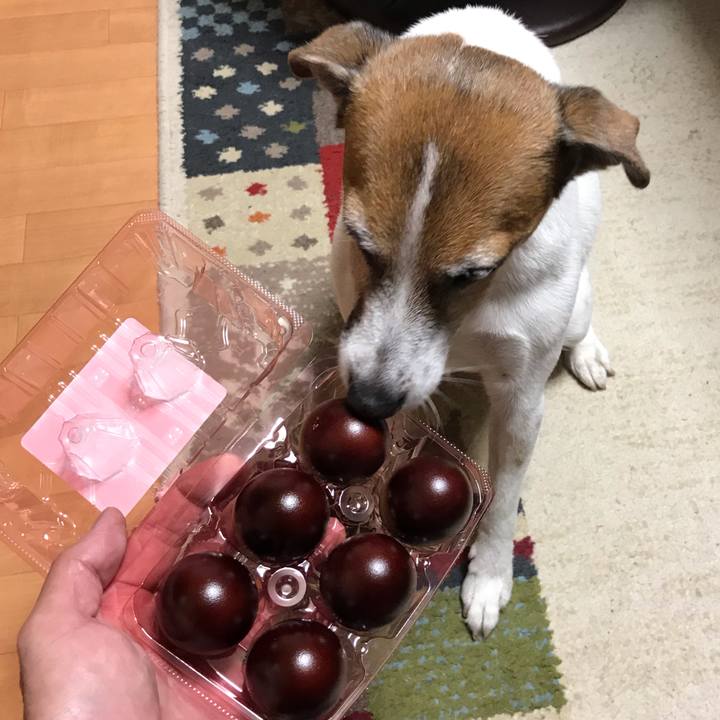 Dc151721 8ef3 4d5b aed0 74d62923fae7 1540727766392