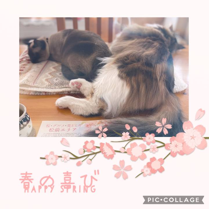 Dc151e76 0e5f 4323 9e63 9f56fe45ff38 1745114665339