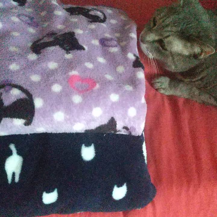 Dc153220 7e00 4760 aebd c66d1ee7ca2b 1634539701287