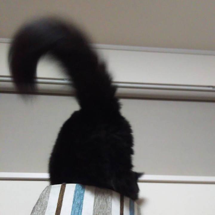 Dc154486 9791 4b11 b0f8 b20fe0605d38 1509027498609