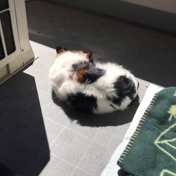 Dc15e121 2a40 41ba 8f19 cb0765bce1e7 1585101726753